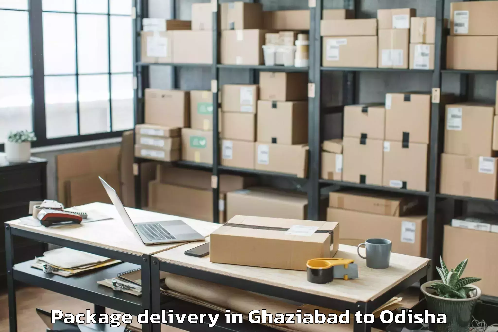 Professional Ghaziabad to Nimapada Package Delivery